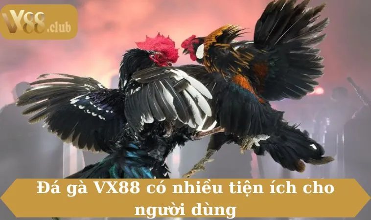 Đá gà VX88 có nhiều tiện ích cho người dùng